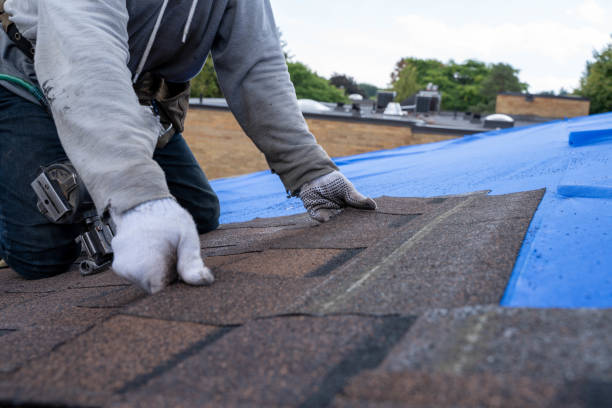 Professional Roofing Contractor in Shannon, GA