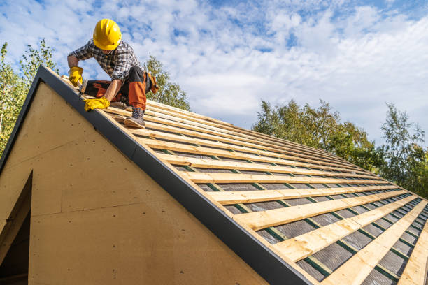 Quick and Trustworthy Emergency Roof Repair Services in Shannon, GA