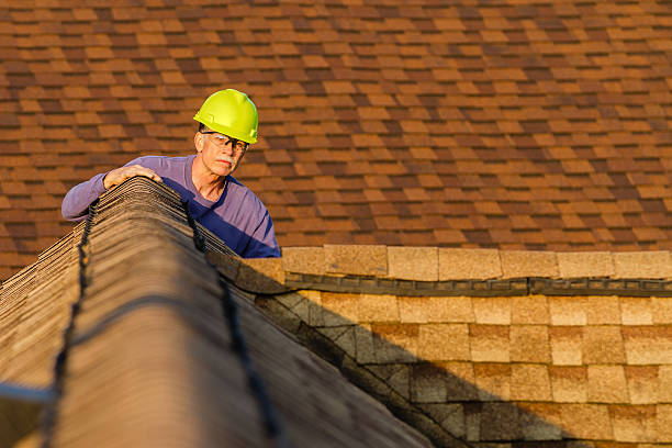 Roof Gutter Cleaning in Shannon, GA