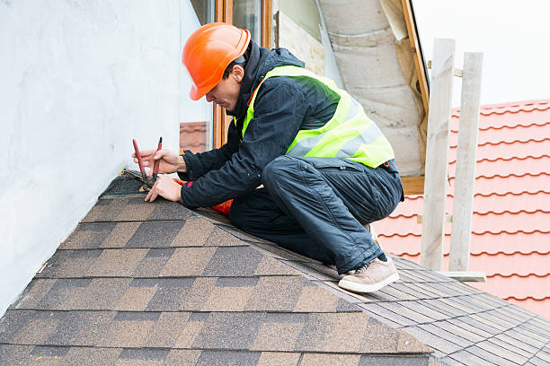 Best Roof Gutter Cleaning  in Shannon, GA