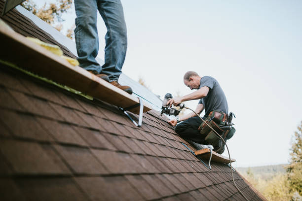 Best Roof Gutter Cleaning  in Shannon, GA